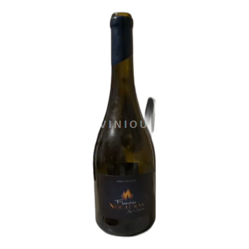 Vin Rouge sec Cuvée Flambée Nocturne EARL Pinet 2022 France Vallée de la Loire Anjou Villages AOC