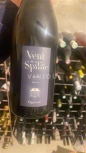 Loiredalen Anjou Ogereau Vent de Spilite 2023