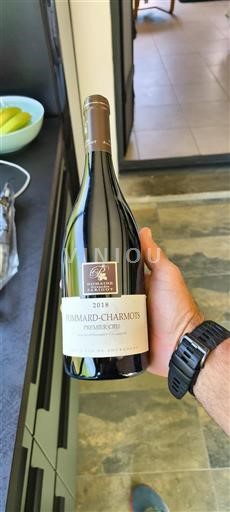 Borgoña Pommard Premier Cru Domaine Alexandre Parigot Pommard-Charmots 2018