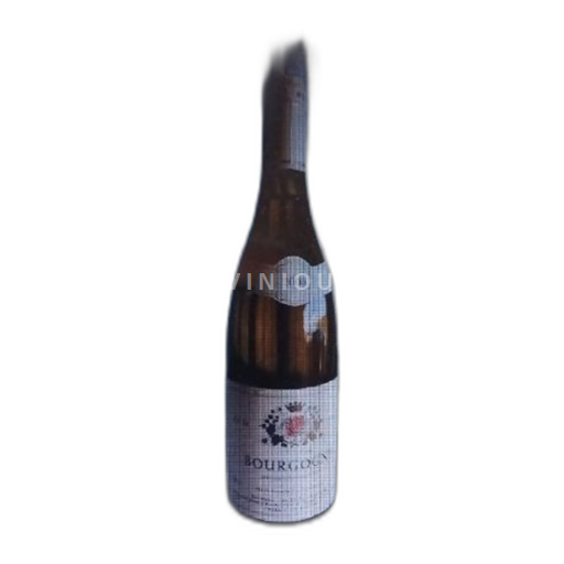 Bourgogne Raymond Dubreuil-Janthial 2000