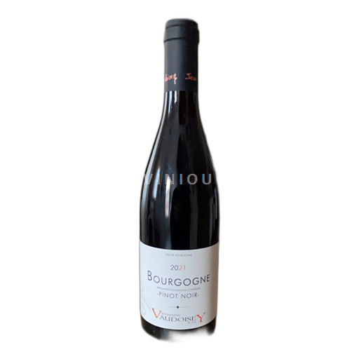 Bourgogne Domaine Vaudoisey Jean 2021