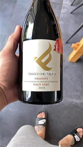 Piedmont Not Specified Bricco del Falco 2016