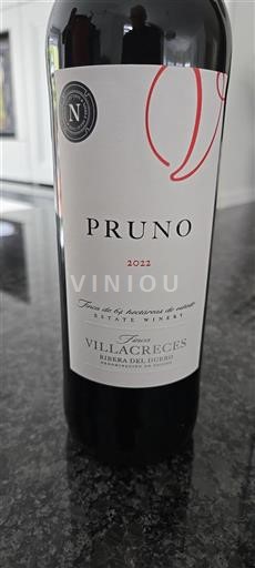 Castiglia e León Ribera del Duero Finca Villacreces Pruno 2022