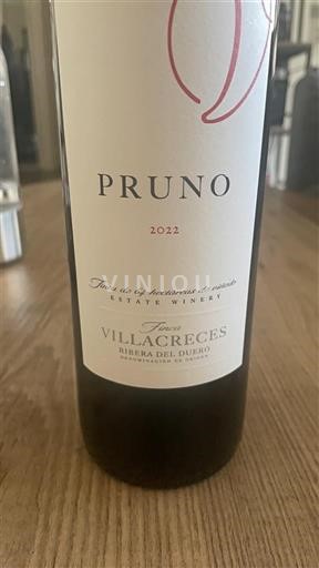 Castille và León Ribera del Duero Finca Villacreces Pruno 2022