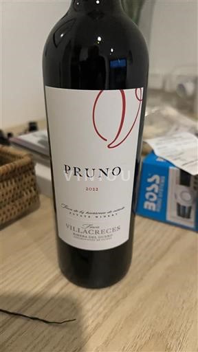 Castille et León Ribera del Duero Finca Villacreces Pruno 2022