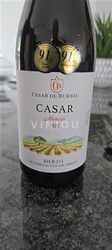 Castiglia e León Bierzo Casar de Burbia Mencía 2022