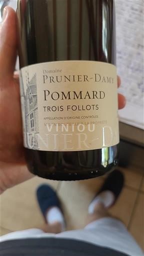 Borgogna Pommard Prunier-Damy Trois Follots 2019