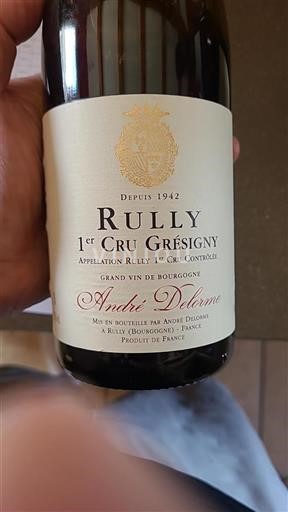 Bourgondië Niet gespecificeerd Premier Cru André Delorme Grésigny 2020