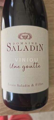 Thung lũng Rhône Côtes-du-rhône Domaine Saladin Une goutte 2022