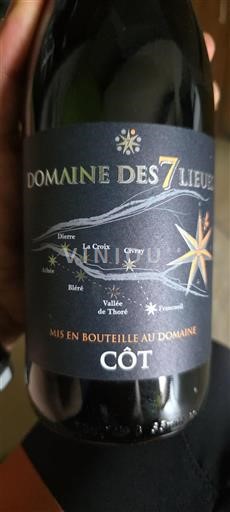 Valle del Loira No especificado Domaine Des 7 Lieues Côt 2020