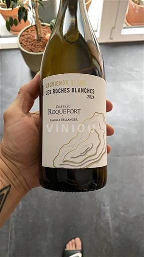 Vin Blanc sec Les Roches Blanches Château Roquefort 2024 France Bordeaux Entre-deux-mers AOC