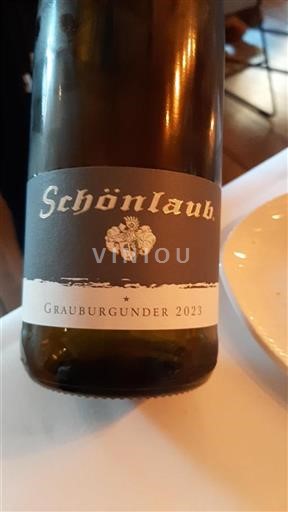 Palatinat Ni doloceno Schönlaub Grauburgunder 2023