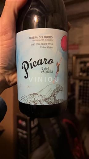 Castile and León Ribera del Duero Dominio del Águila Pícaro del Águila 2016