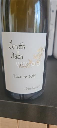 Burgundi Määrittelemätön Claire Naudin Clématis Vitalba 2018
