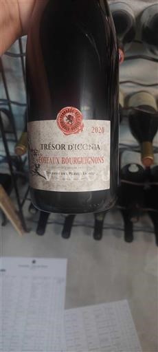 Burgundija Burgundska gricevja Terrasse des Pierres Dorées Trésor d'Iconia 2020