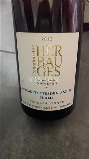 Loiredalen Muscadet-Côtes-de-Grand-Lieu Domaine Des Herbauges Vieilles Vignes 2022