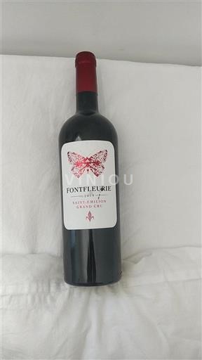 Bordeaux Saint-Émilion Grand Cru Grand Cru Fontfleurie 2019