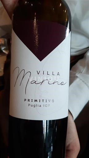 Vin Rouge sec Primitivo Villa Marino Non millésimé Italie Pouilles DOC