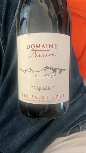 Languedoc Pic-Saint-Loup Domaine Desvabre Capitelle 2020