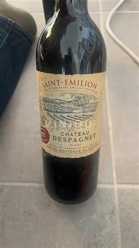 Bordéus Saint-Émilion Château Despagnet 2000