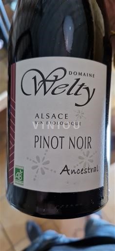 Alsace Pinot Noir Welty Pinot noir Ancestral 2022