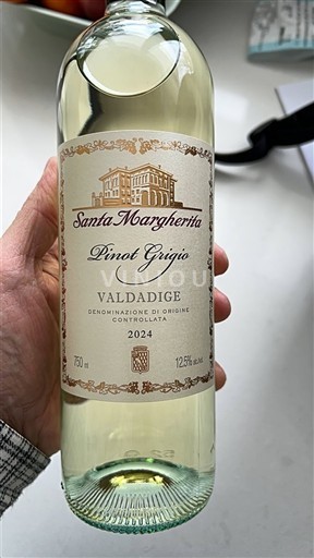 Vêneto Valdadige Santa Margherita Pinot Grigio 2024