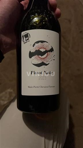 Jura Côtes du Jura Marie-Pierre Chevassu-Fassenet 2023