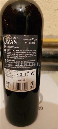 Kastilien och León Ospecificerad Uvas Mar de 2020