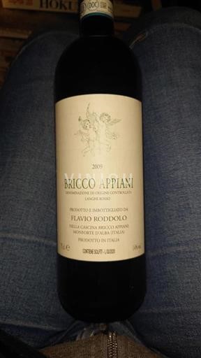 Piamonte Langhe Bricco Appiani 2009