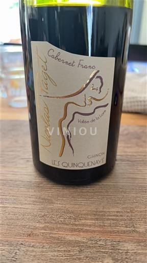 Loirevallei Chinon Nicolas Paget Les Quinquenays Niet-geïntegreerd