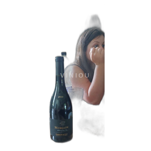 Beaujolais Morgon Pardon & Fils Côte du Py 2023
