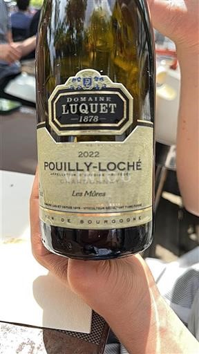 Bourgondië Pouilly-loché Domaine Luquet Les Mûres 2022