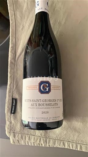 Burgundy Nuits-Saint-Georges Premier Cru Philippe Gavignet Aux Bousselots 2020