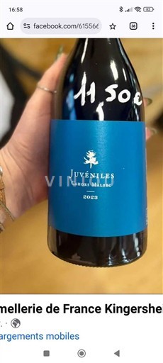 Lounais-Ranska Cahors Juvéniles 2023