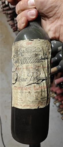 Vin Rouge sec Château Jonqueyres 1981 France Bordeaux Bordeaux supérieur AOC