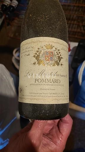 Burgundsko Pommard Les Mortcharmels 2002
