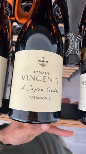 Corsica Patrimonio Domaine Vincenti A Capra Sorda Senza annata