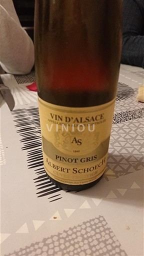 Vin Blanc sec Albert Schoech Non millésimé France Alsace Vin de France