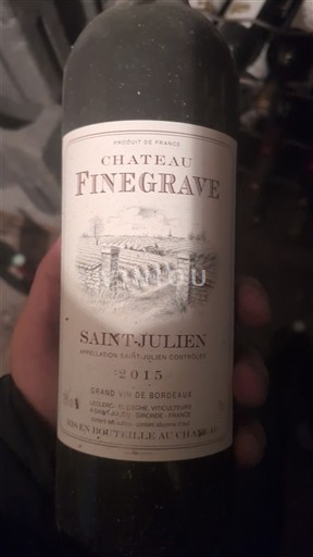 Burdeos Saint-Julien Château Finegrave 2015