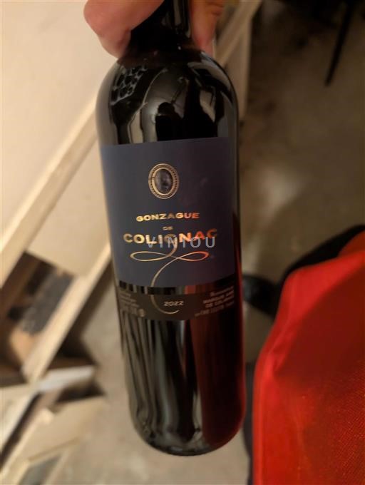 Sudoeste Côtes de Gascogne Gonzague de Colignac 2022
