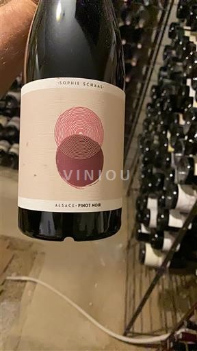 Alsazia Sophie Schaal 2023