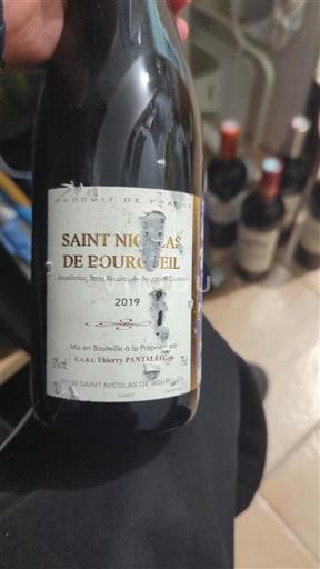 Loire-dalen Saint-Nicolas-De-Bourgueil E.A.R.L Thierry Pantaleo 2019