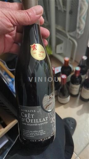Vin Rouge sec Domaine Crêt Oeillat 2021 France Beaujolais AOC