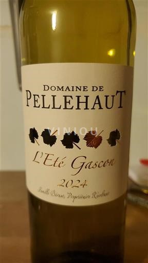 Südwestfrankreich Côtes de Gascogne Domaine Pellehaut L'Été Gascon 2024