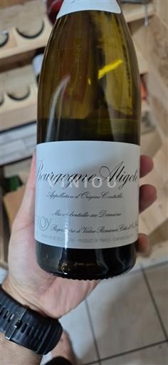 Burgundi Bourgogne Aligoté Leroy Bourgogne Aligoté Ei vuosikertaa
