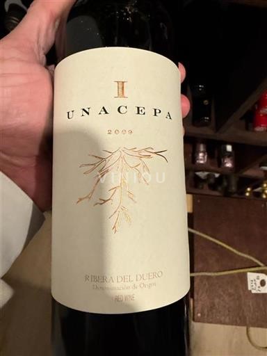 Castille et León Ribera del Duero Unacepa 2009