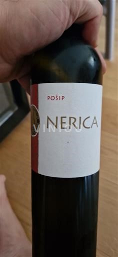 Dalmácie Nespecifikováno Nerica 2023