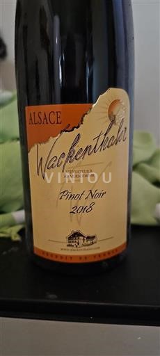 Alsacia Grand Cru Wackenthaler Pinot Noir 2018