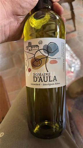 Sudoeste Côtes de Gascogne Domaine Aula 2022