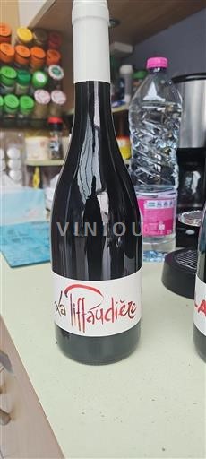 Valle della Loira Saumur-Champigny Xavier et Philippe Senza annata